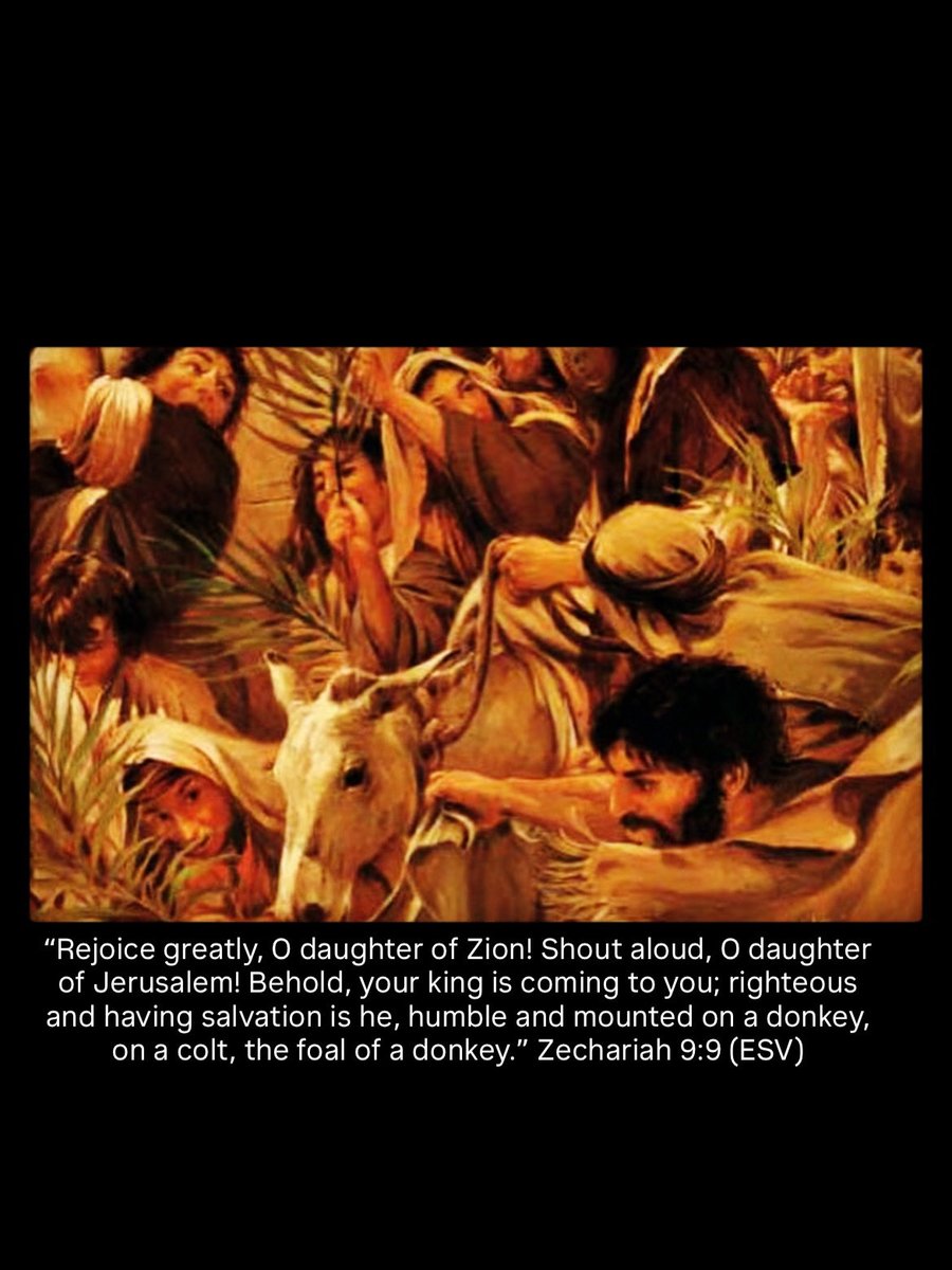 StrongStakes's tweet photo. Palm Sunday - Triumphal Entry https://t.co/aGTLvLHLCa