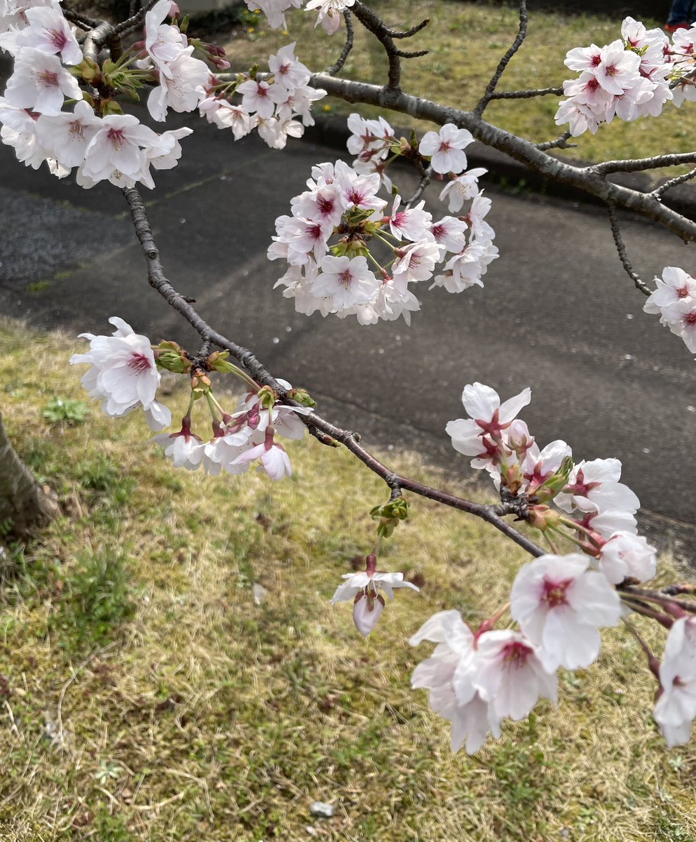 前借りちゃん💚💚 tweet media