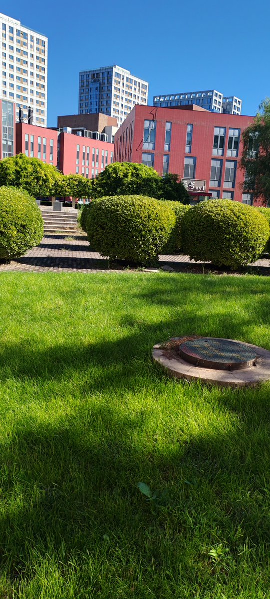 matheus nascimento tweet media