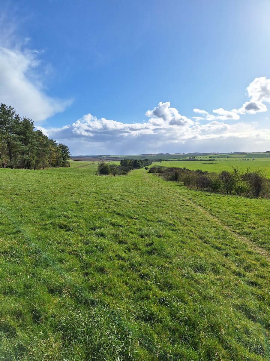 Started windy &amp; a bit wet, but the sun came out for our 5-mile walk in Blewbury yesterday! Up Churn Hill to Churn Farm, along Blewbury Down &amp; the gallops. Amazing views 🌳 

16 walkers &amp; 2 very happy dogs! 🥾🐕

#ukramblers #countrysidewalks #walking #rambling