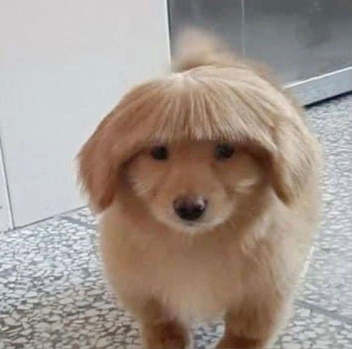 อัณญ่า Ი⑅𐑼 tweet media