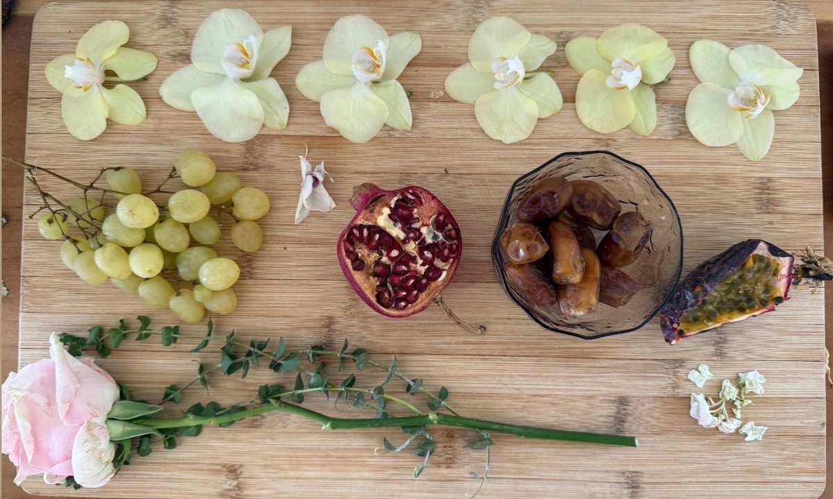 ⭐️nova tweet media