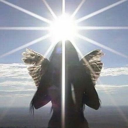 ⭐️nova tweet media