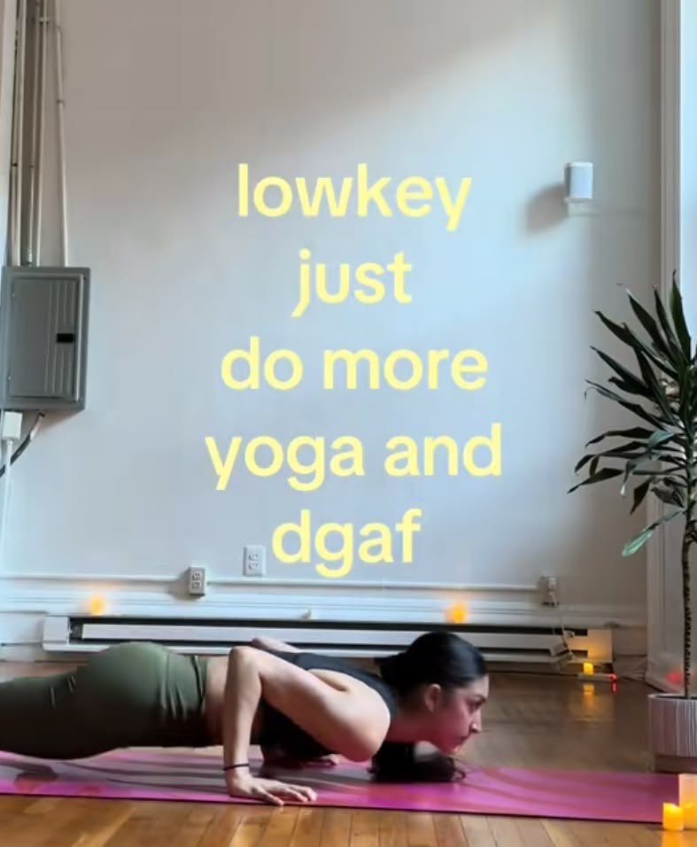 ⭐️nova tweet media