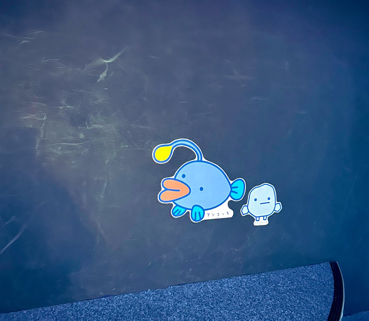 ぱっち tweet media