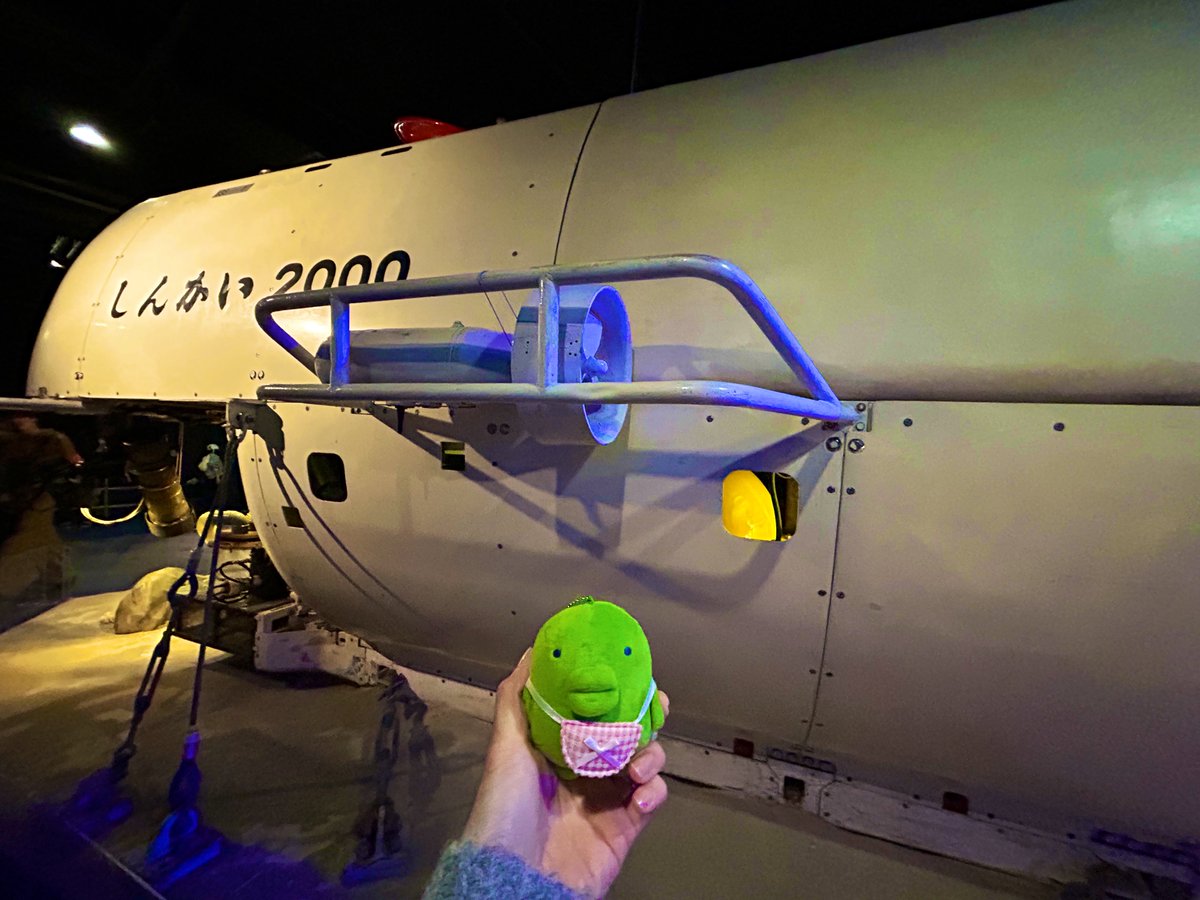 ぱっち tweet media