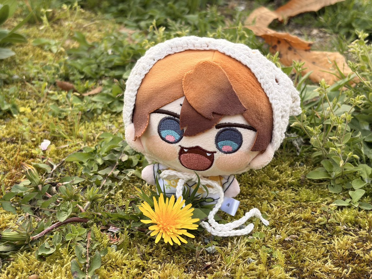 ちゃこ☝️のんびり生きる tweet media