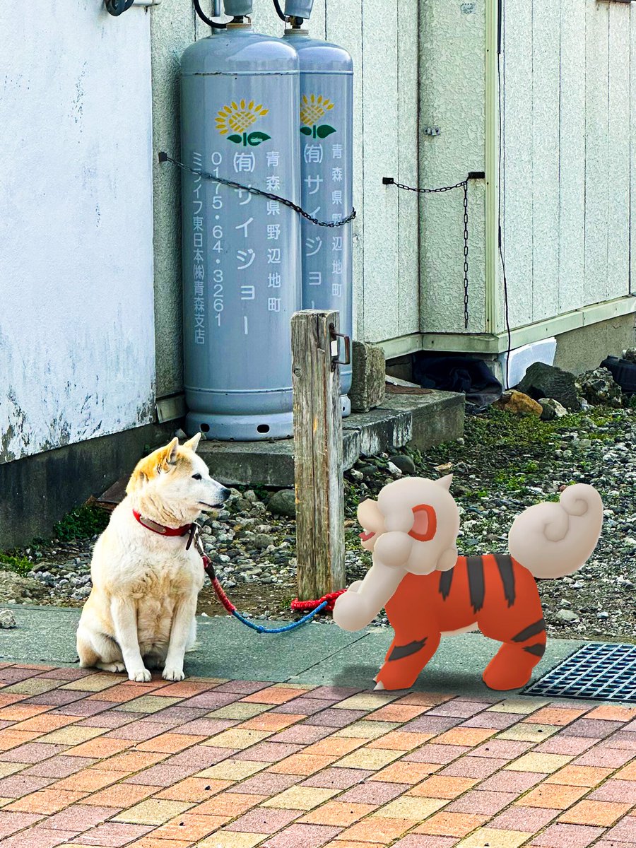 “Phones” #GoSnapshot 📸 VGC tweet media