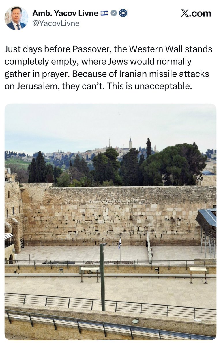 Andrew Fox tweet media