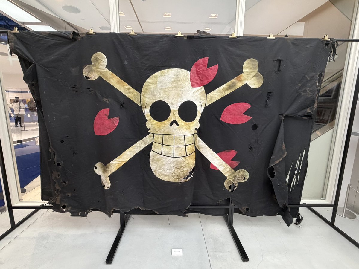 KEI@ONE PIECE垢 ⚔🍶 tweet media