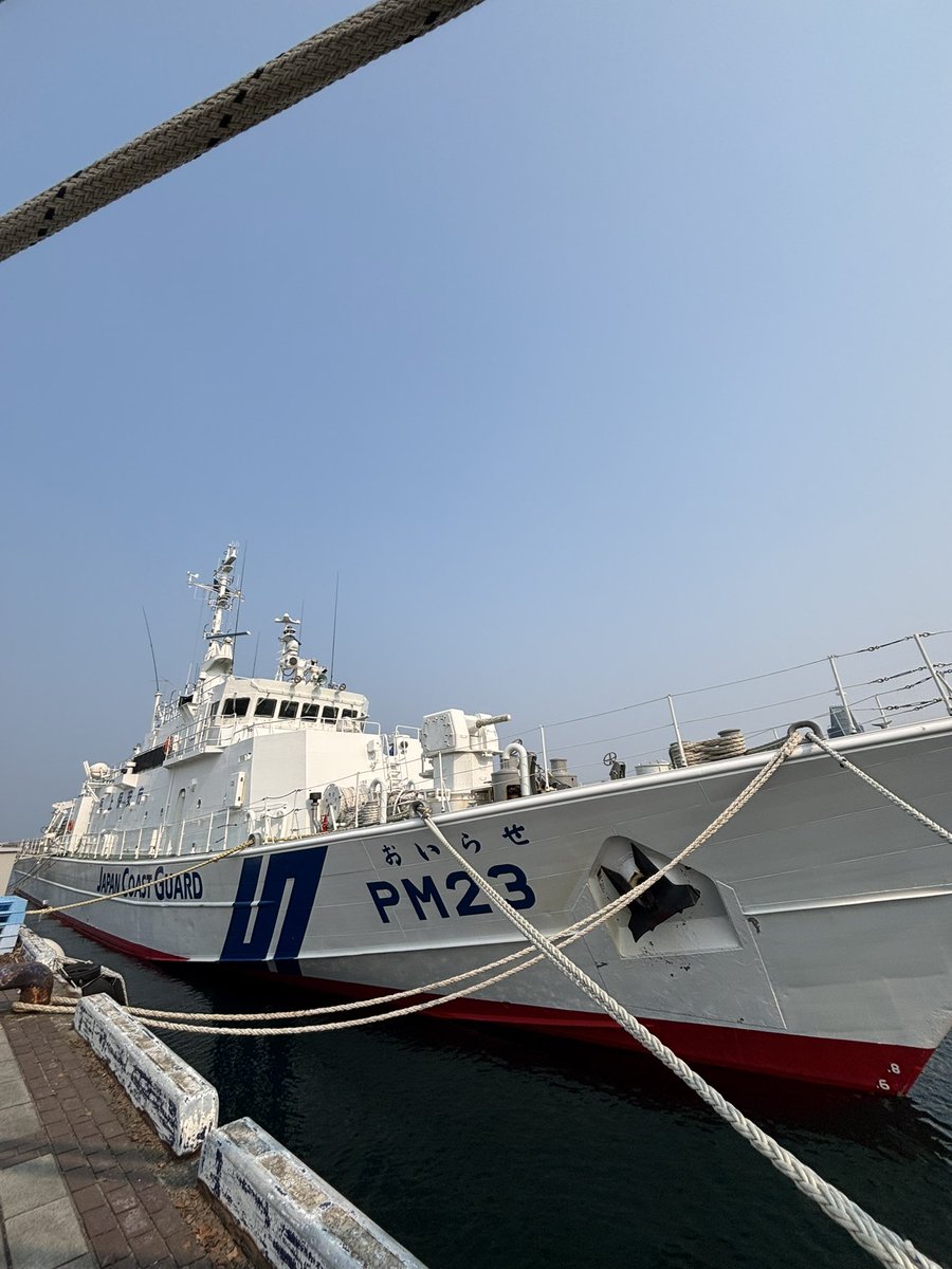 ツチノコ tweet media