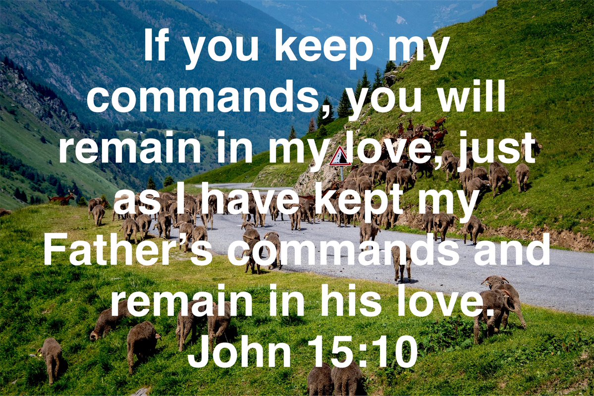 Kenneth McGuff tweet media