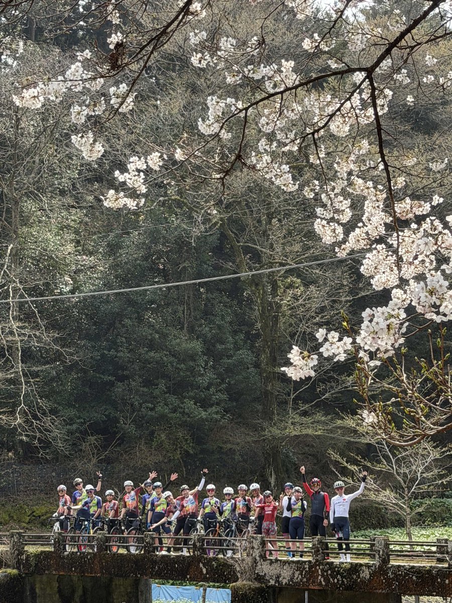 なすぴー🍆 tweet media