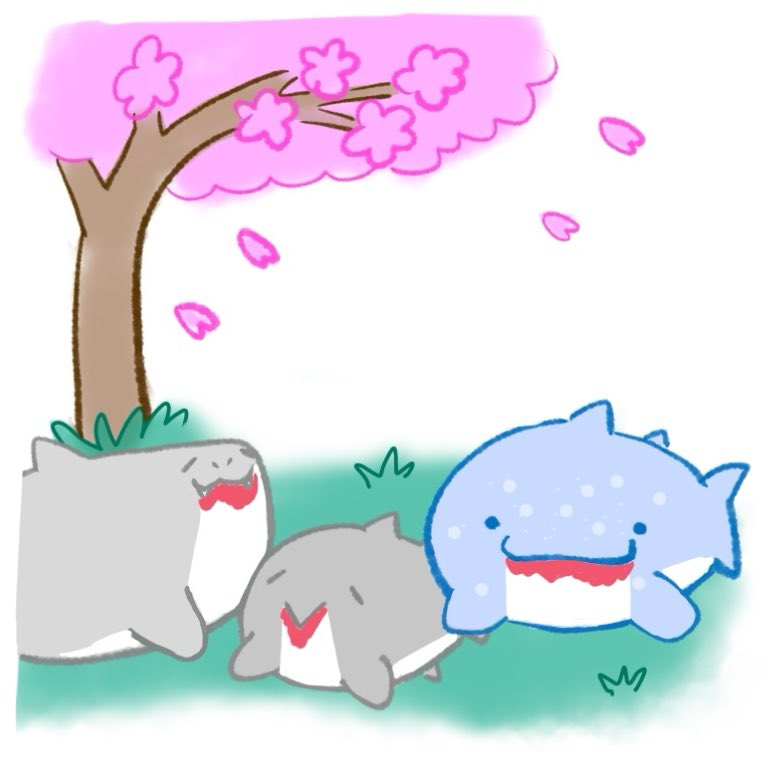 まるざめ@ゆるいサメ漫画🦈 tweet media