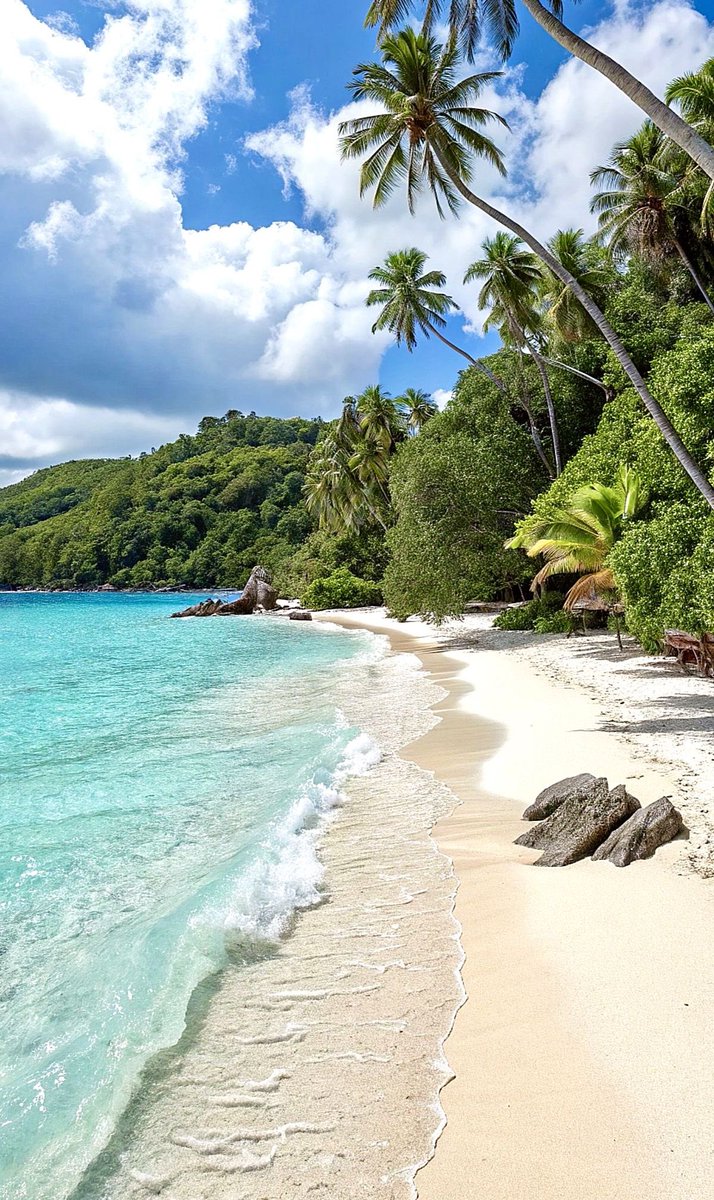 novaworld tweet media