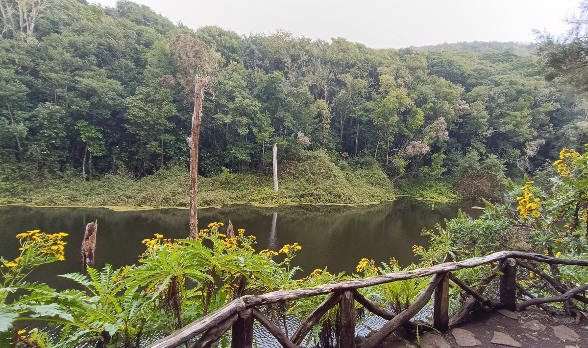 Julito 👓🏴󠁧󠁢󠁳󠁣󠁴󠁿 tweet media