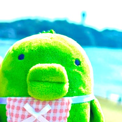 ぱっち tweet media