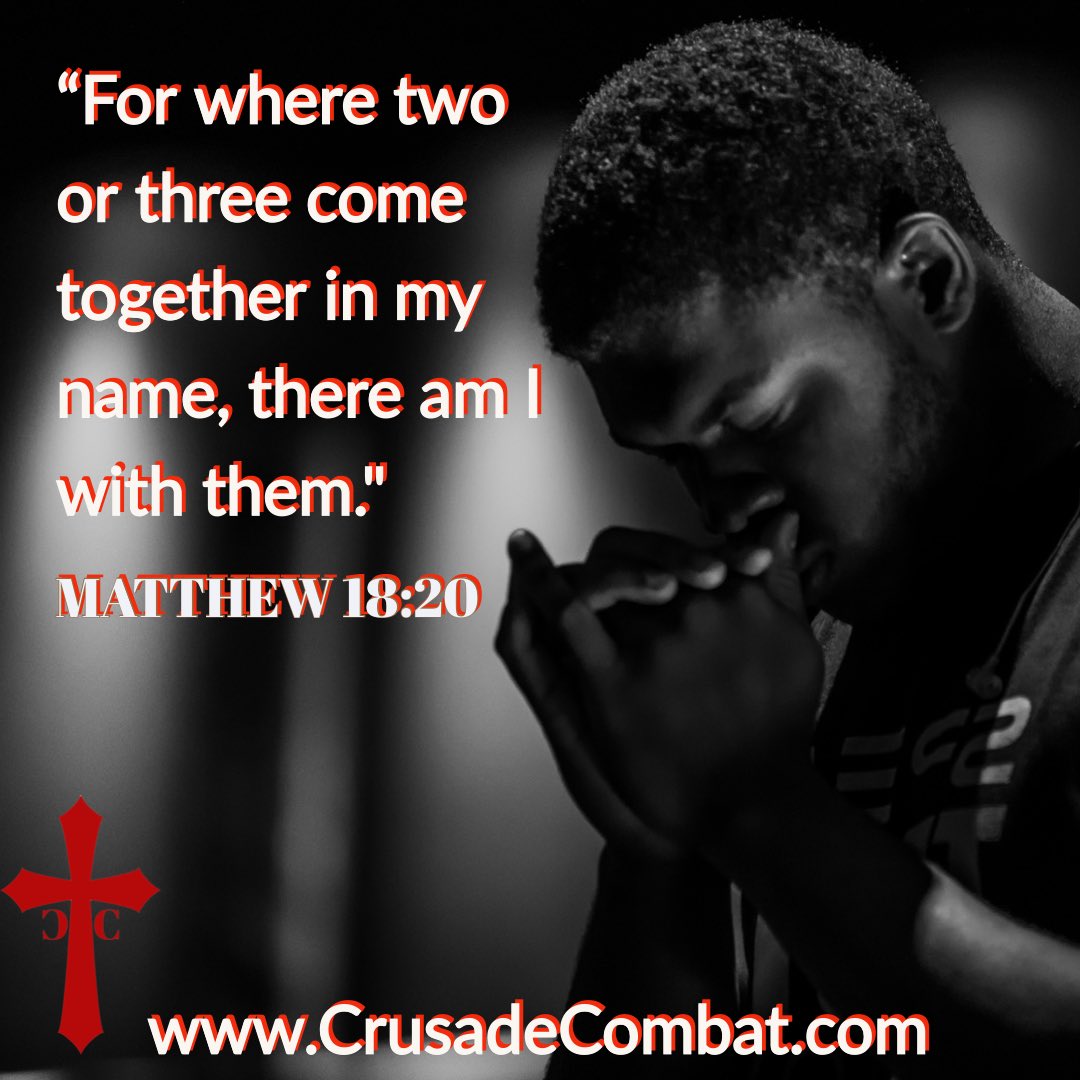 CrusadeCombat's tweet photo. Happy Palm Sunday! Christ is King https://t.co/UGTjcdTozG