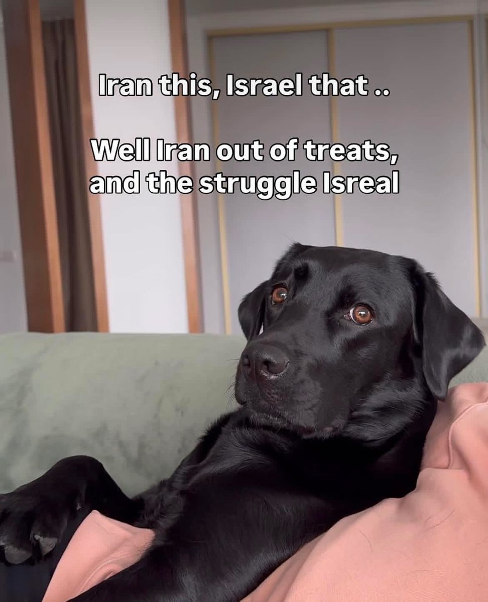 Kris (sunshine) tweet media