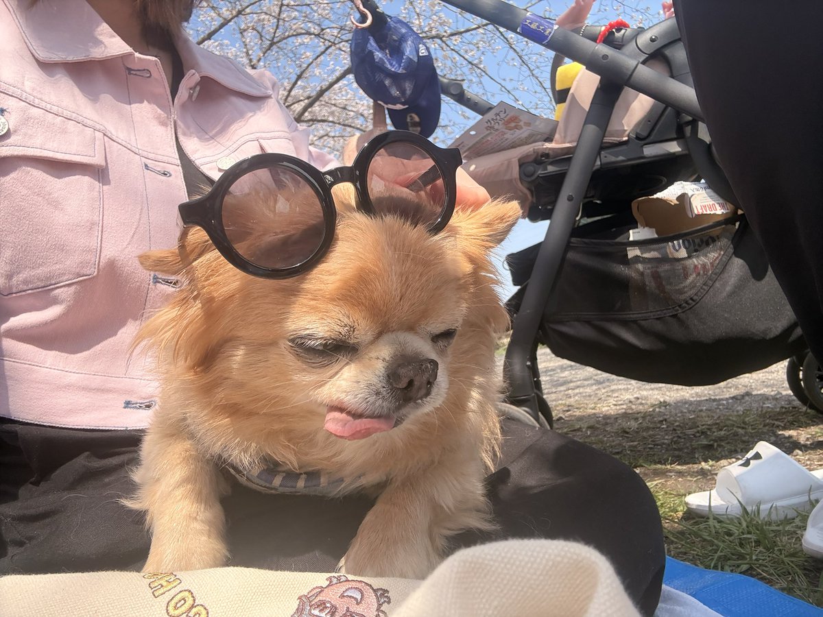 くどみ(みそ) tweet media