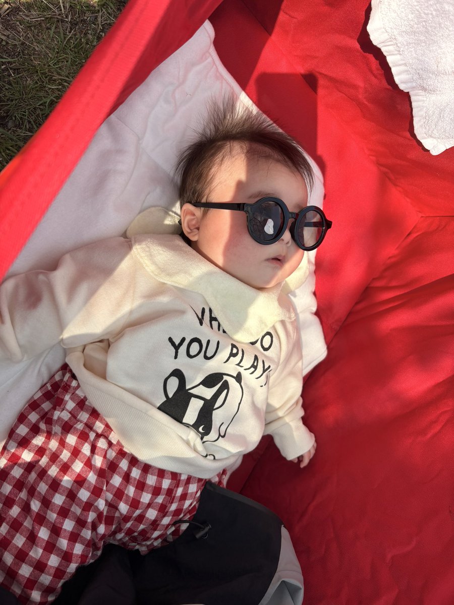 くどみ(みそ) tweet media