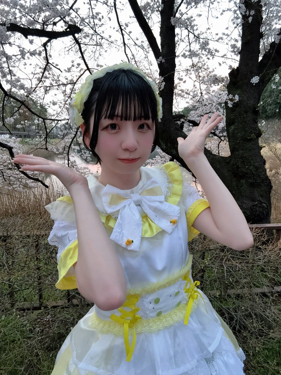 まぁの@7月19日は生誕祭 tweet media