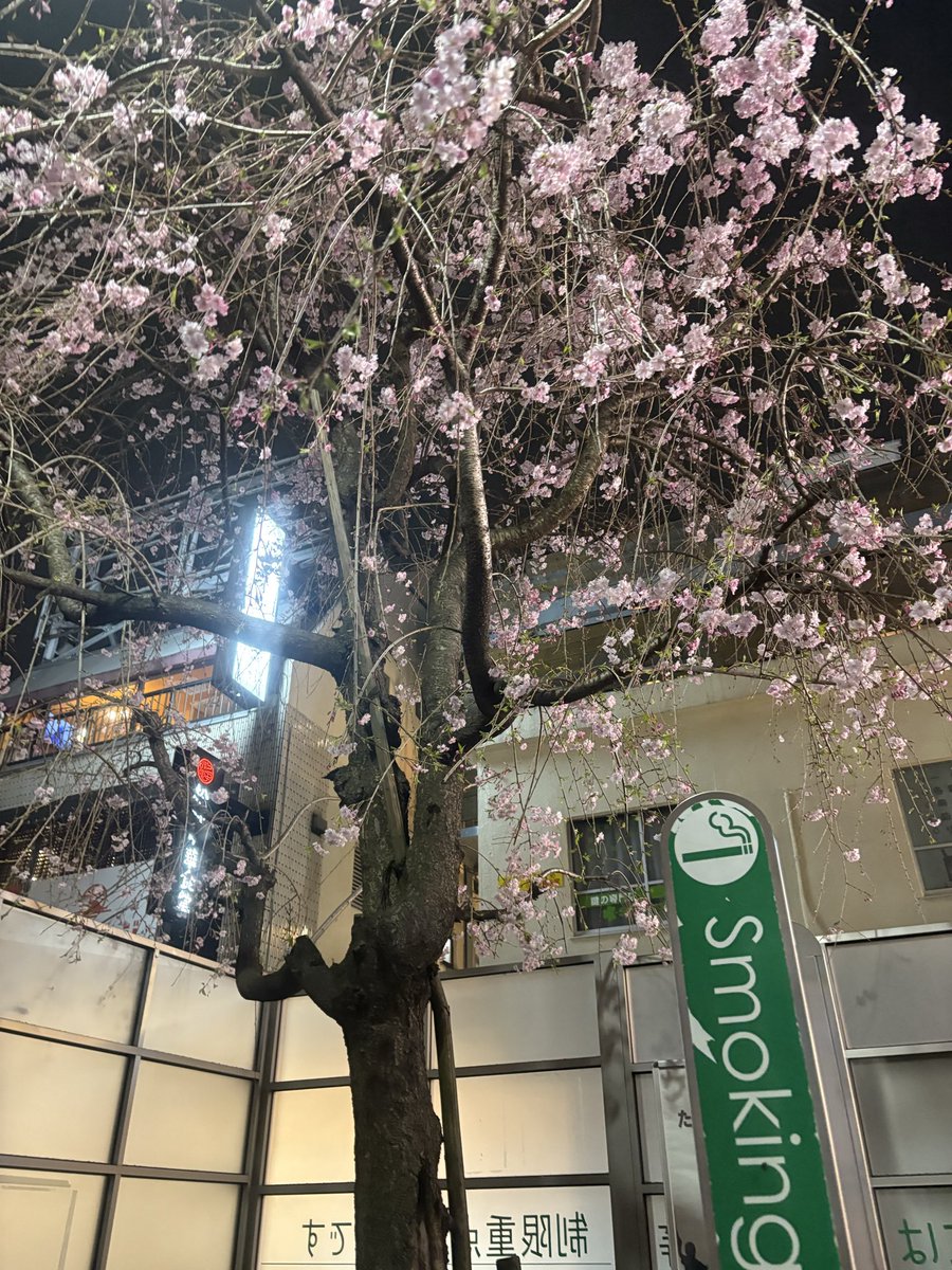 いい喫煙所🚬🌸🍶