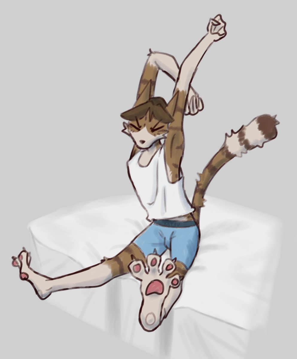 ◈Katsu◈ (comms Open!) tweet media