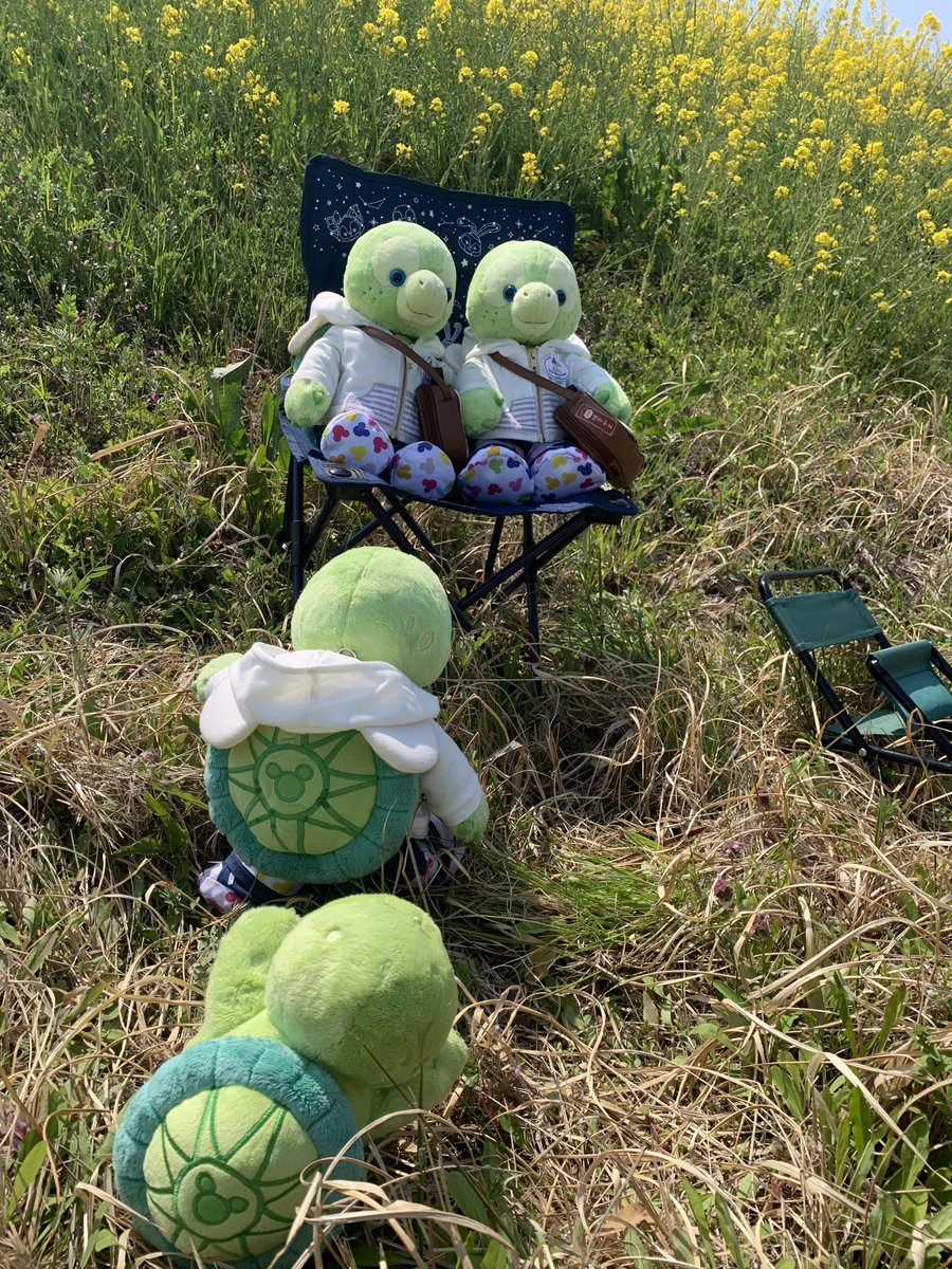 ぼぶる tweet media