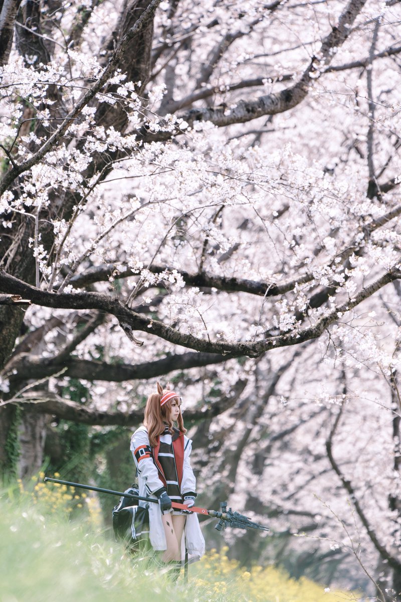 だーこー🐼AiS E-03 tweet media