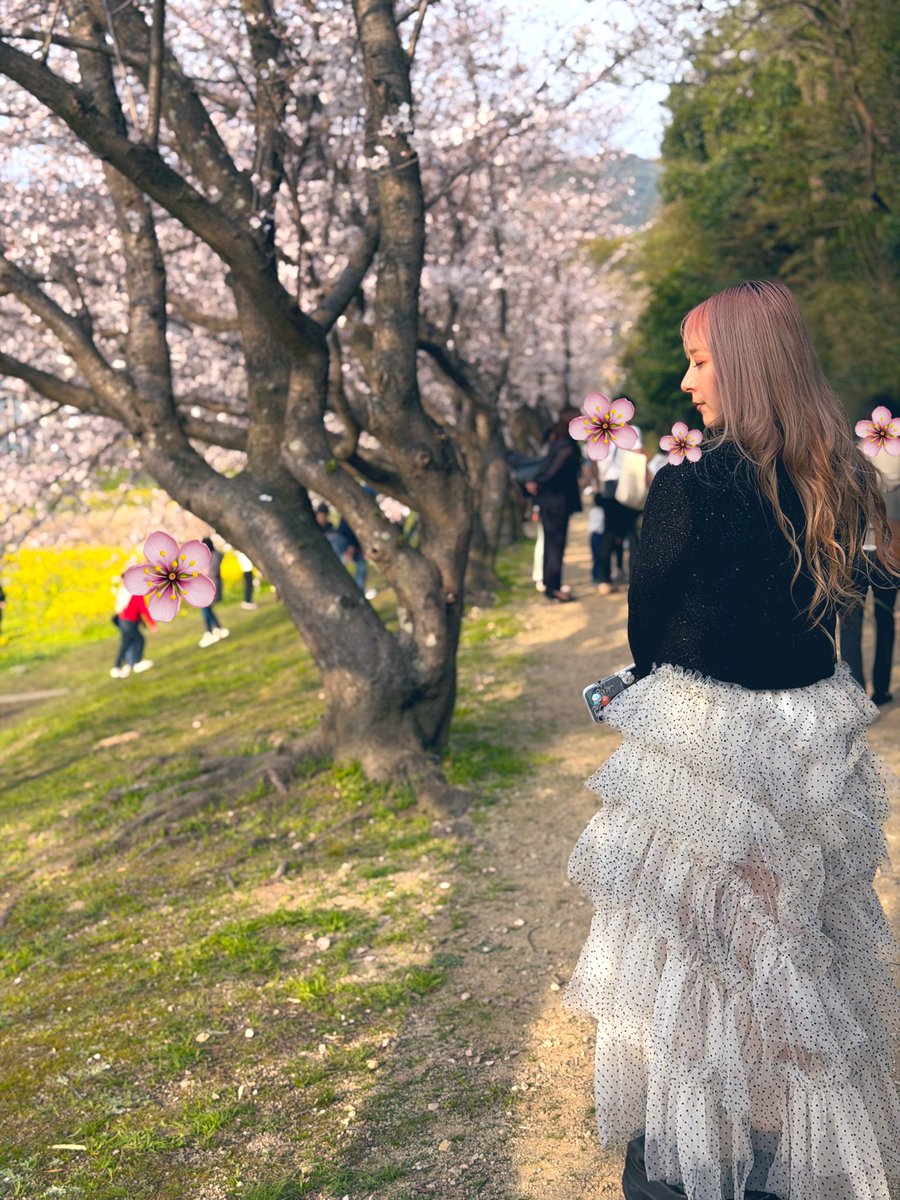 雨夜なな子@あまや tweet media