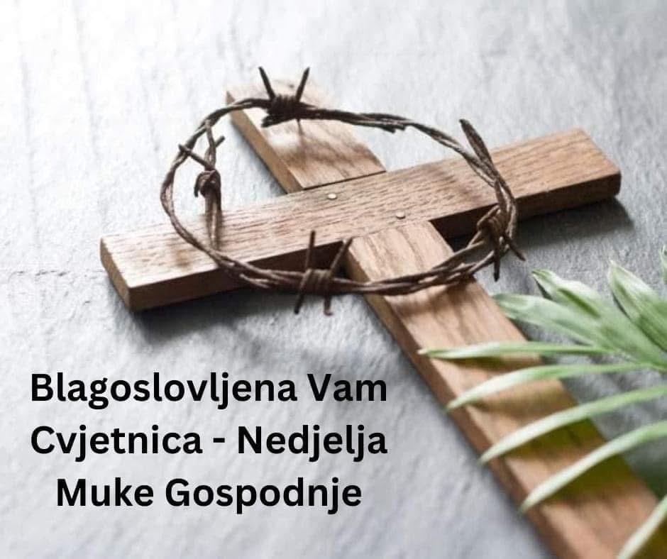Ante Deur tweet media