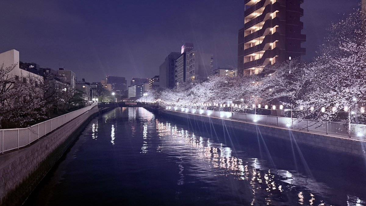 あおちま！ tweet media