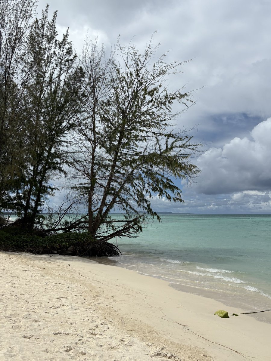 ignaciobitget's tweet image. That’s a wrap for #BitgetSpringCamp 

There’s always ups and downs, that’s how lifecycles work. 

Tomorrow is Monday and I’m just happy about things that will happen. #LFG