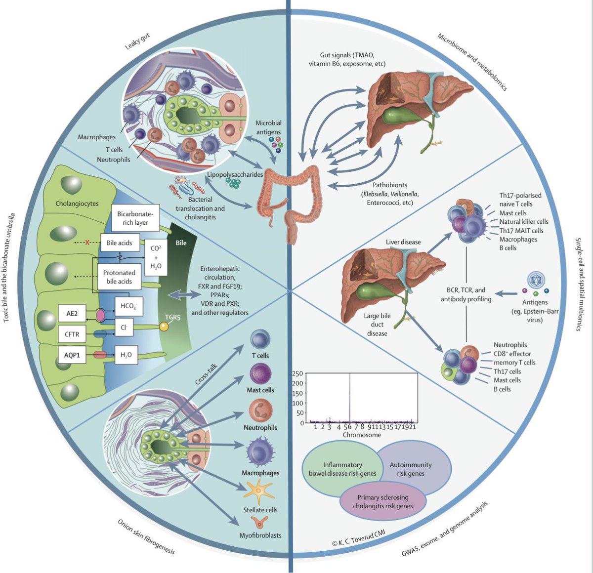 Keith Siau tweet media