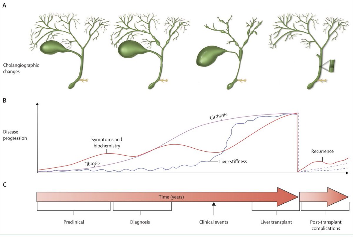 Keith Siau tweet media