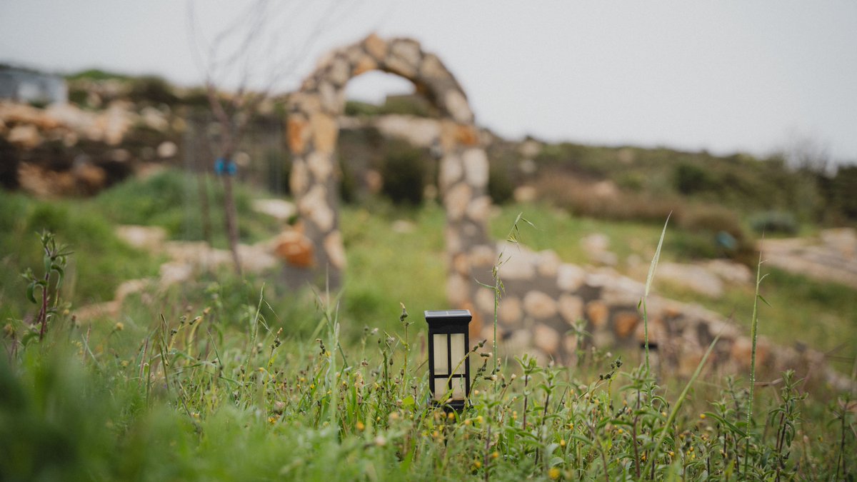 I was able to grab a few photos during a break in the rain today