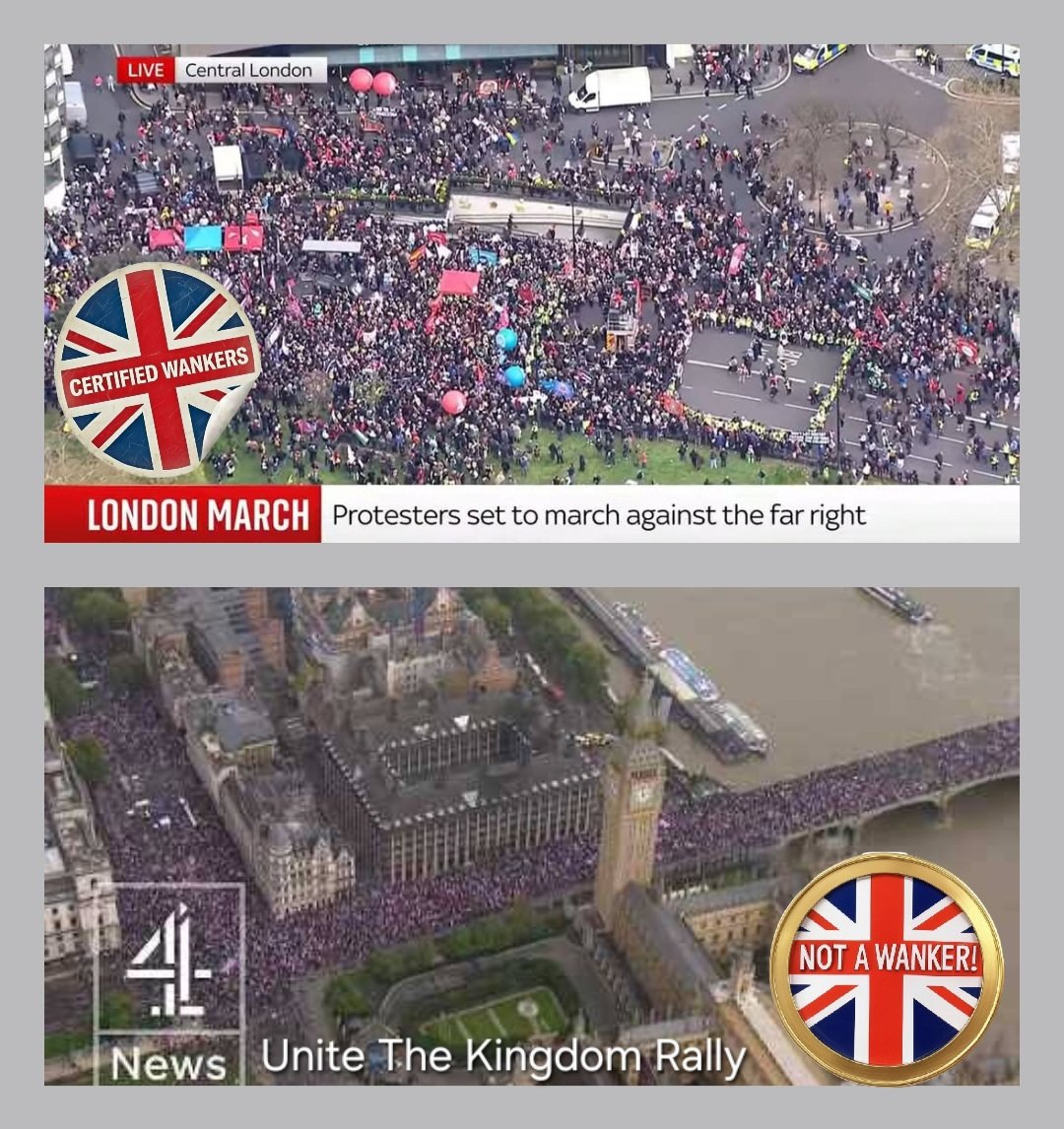 Wanker Finder tweet media