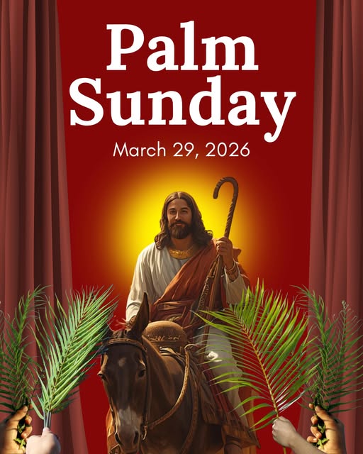 Mike Abbott tweet media