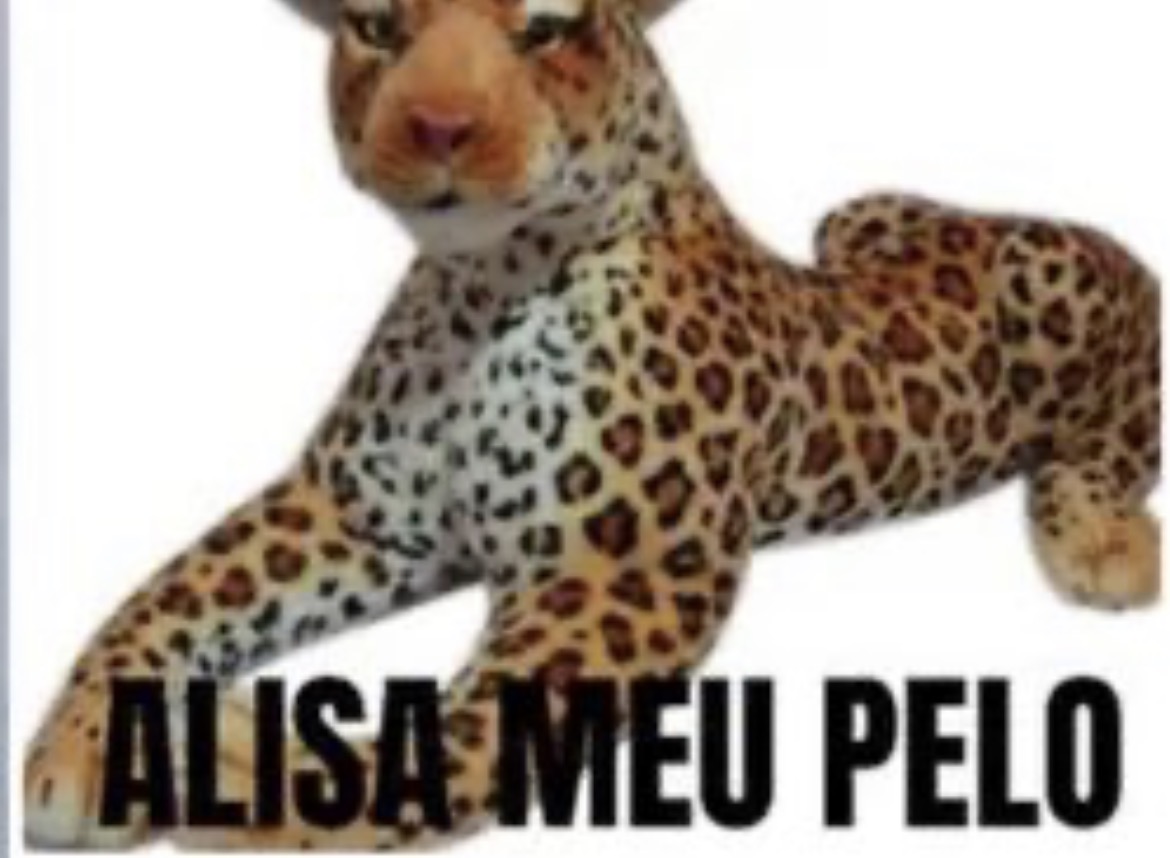 ana ★彡 tweet media