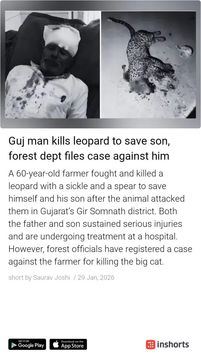 ramkgoel's tweet photo. कुछ भी:
Dear @ParveenKaswan
The moot question is what forest officials would have done in similar
 situation?
@kabirkrishna
https://t.co/DuLd0cgBFh https://t.co/PLFF4TUWC4