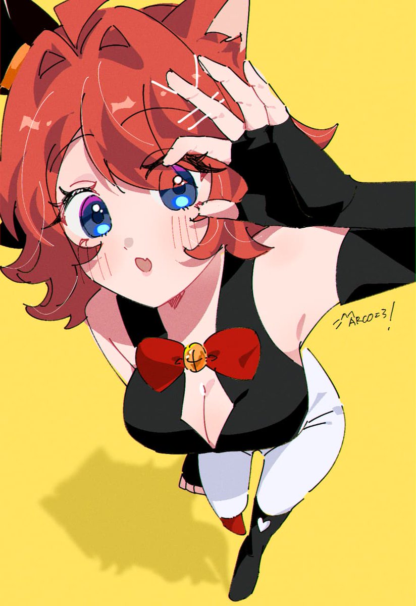 マルコ/Vgen open🐾 tweet media