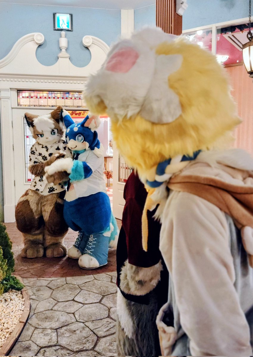 おやおや？
#ケモノフォーカス