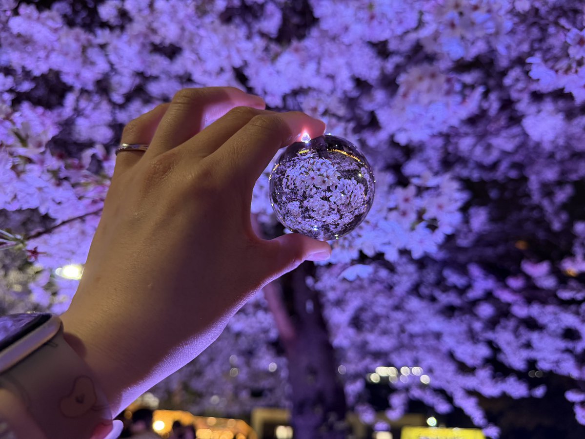 がねちゃん tweet media