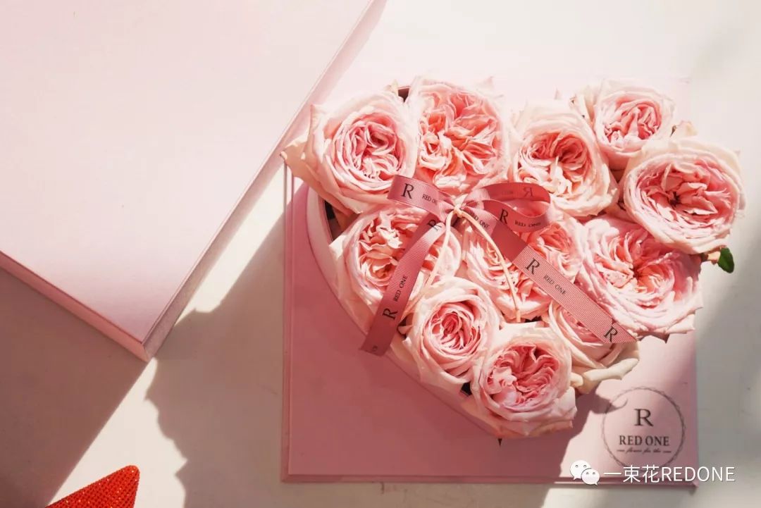 Vinsacci tweet media