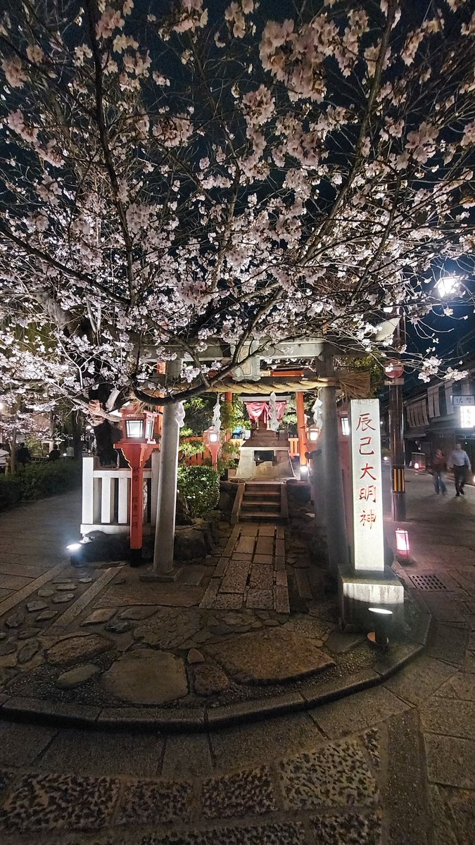 okakengoro's tweet photo. 祇園⛩️辰巳大明神 https://t.co/gQ9FiZPMlx
