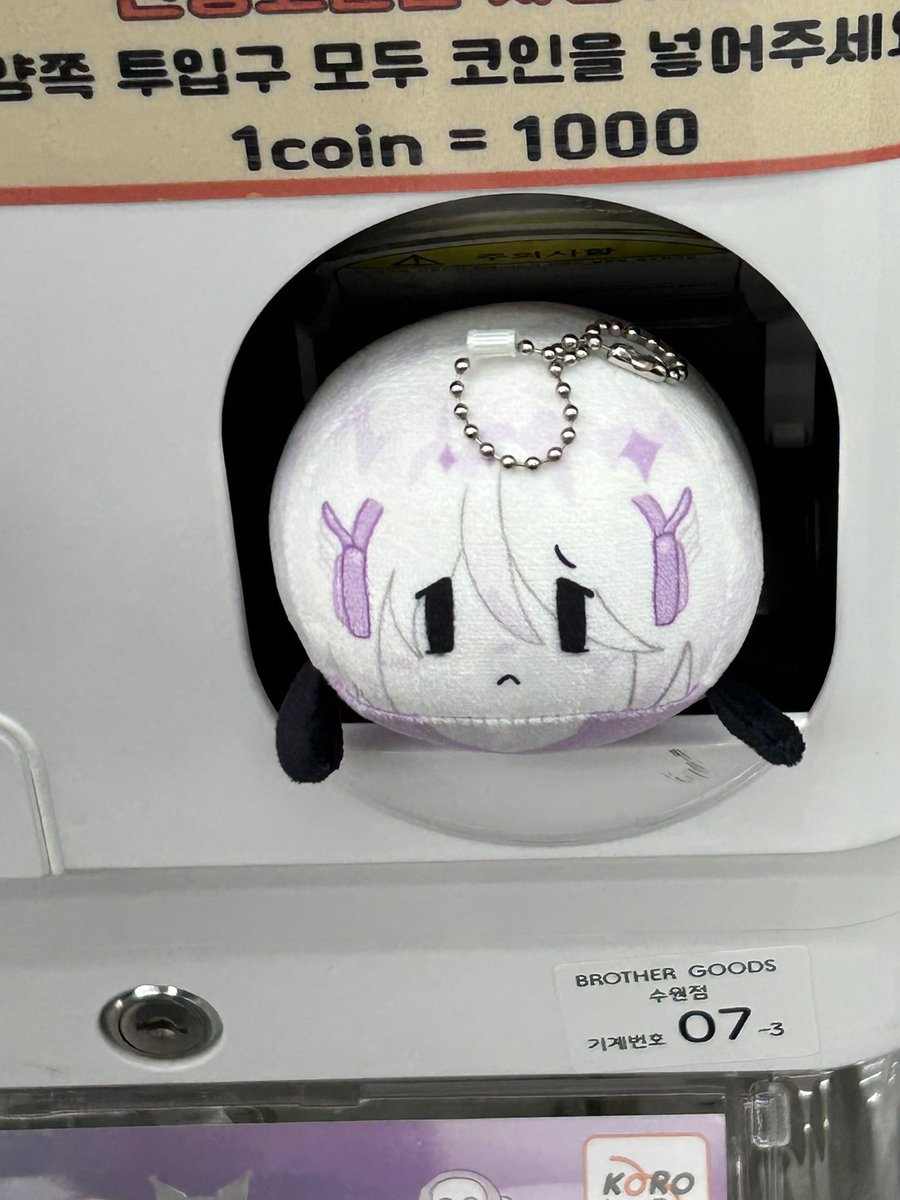 오색바람개비(5코) tweet media