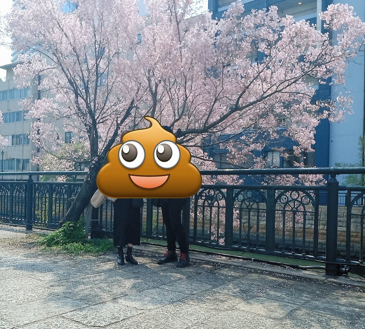 りゅー❄️@半人前食堂🌱🌸🌺 tweet media