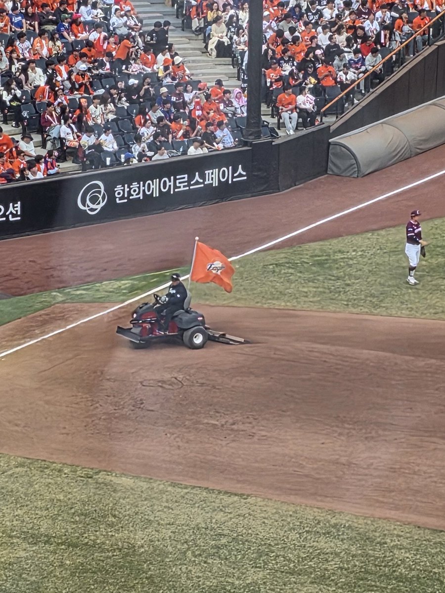 한라봉 tweet media