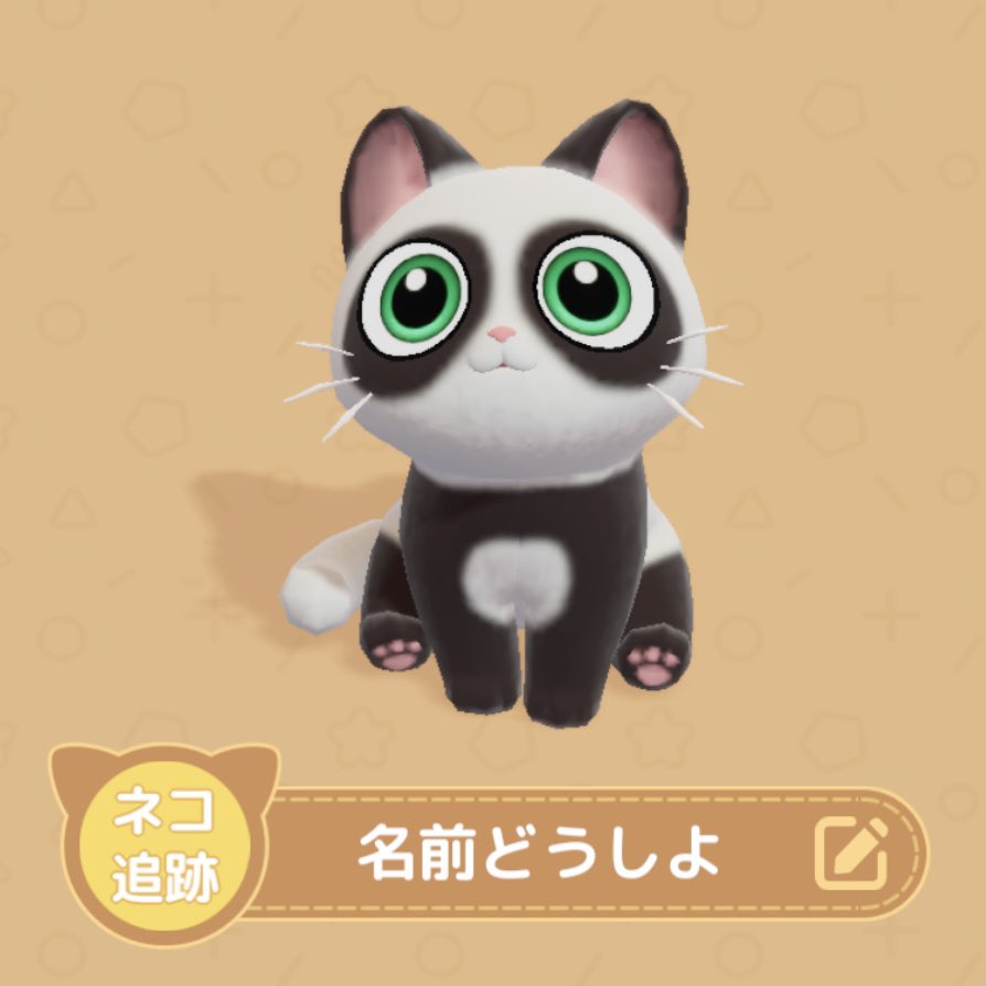 Mayo💫 tweet media